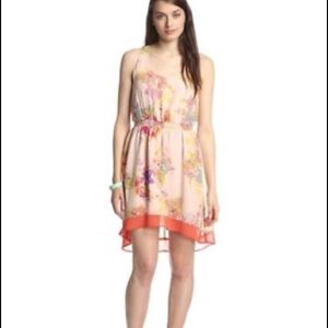 NWT W118 by Walter Baker- Graphic Floral Geri Dress Floral Chiffon Size Small